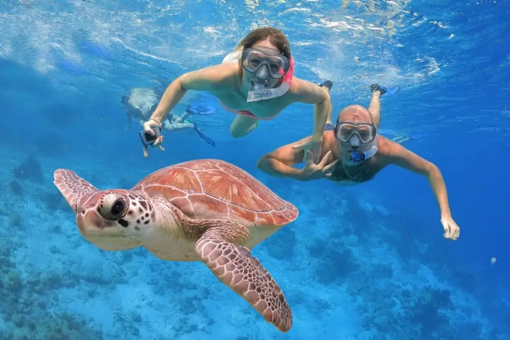 cozumel Island snorkeling